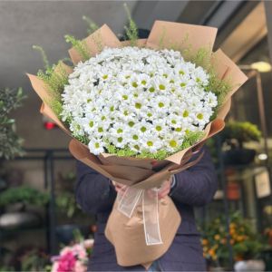  Kütahya Çiçek - Papatya & Gerbera
