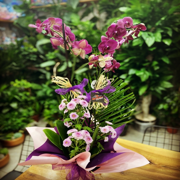  Kütahya Çiçek Gönder renkli orkide