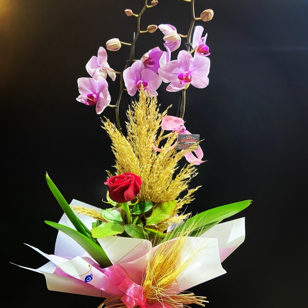 Kütahya Çiçekçi pembe çitfli orkide
