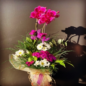  Kütahya Çiçek Siparişi - renkli gerbera buketi