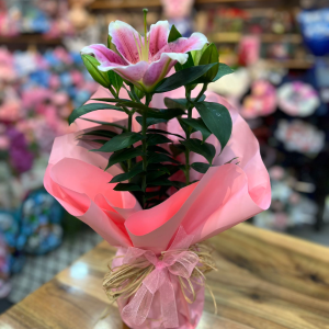Kütahya Çiçekçi - pembe kokulu lilyum 