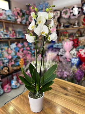  Kütahya Çiçekçiler - beyaz seramikte zarif beyaz asalet